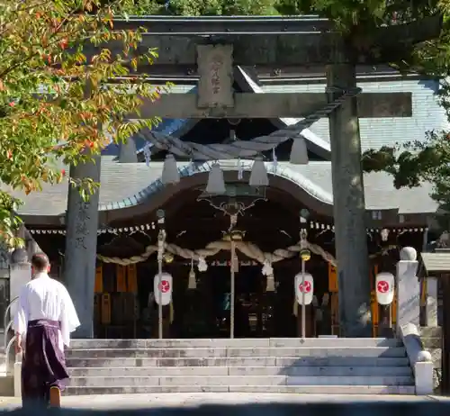 琴崎八幡宮の鳥居