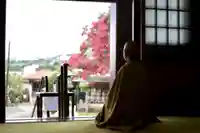 大雄院の本殿・本堂