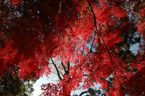 國祖神社の景色