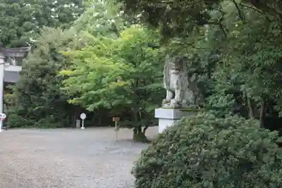 越中一宮 髙瀬神社の狛犬