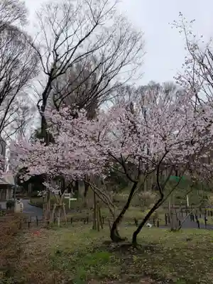 熊野神社(東京都)