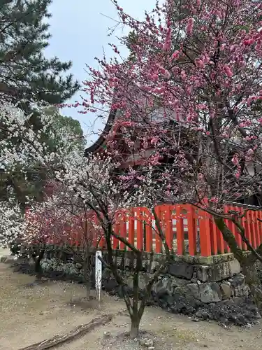 佐太神社(佐太天神宮)(大阪府)