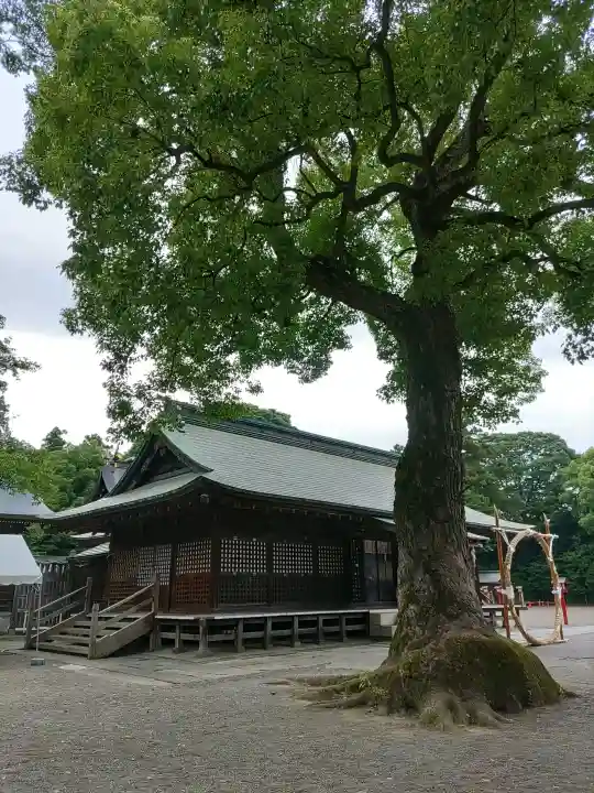 鷲宮神社(埼玉県)