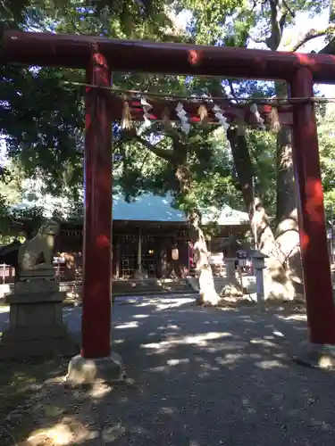 男神社の鳥居