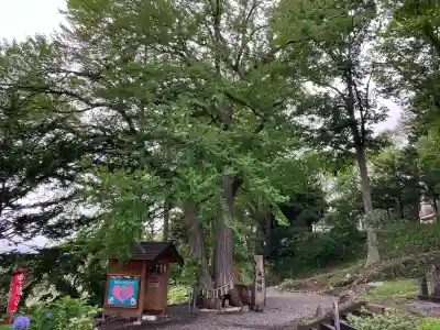 浦幌神社・乳神神社(北海道)