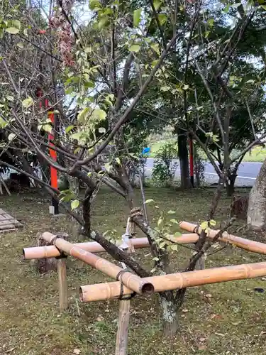 梅宮神社(滋賀県)