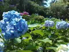 妙楽寺(神奈川県)