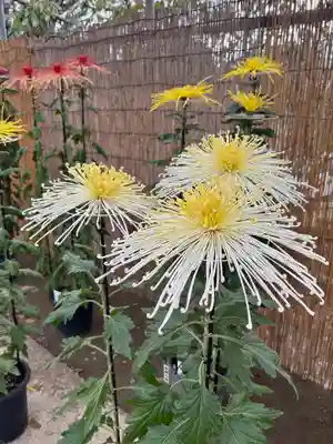 蚊里田八幡宮(長野県)