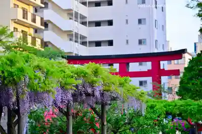 亀戸天神社(東京都)