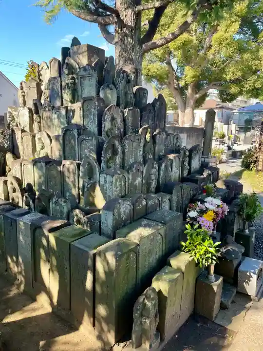 光明寺の{uncategorized: "未分類", other: "その他", undefined: "問題あり", building: "その他建物", grave: "お墓", sacred_gate: "鳥居", guardian: "狛犬", statue: "像", buddha: "仏像", history: "歴史", nature: "自然", garden: "庭園", animal: "動物", pagoda: "塔", temizu: "手水舎", mountain_gate: "山門・神門", sanctuary: "本殿・本堂", subordinate: "末社・摂社", art: "芸術", scenery: "景色", jizo: "地蔵", ema: "絵馬", goshuin: "御朱印", omikuji: "おみくじ", items: "授与品その他", amulet: "お守り", goshuincho: "御朱印帳", eats: "食事", festival: "お祭り", votive_dance: "神楽", shichigosan: "七五三参", wedding: "結婚式", experience: "体験その他", initially: "初詣", around: "周辺", anti_infection: "感染症対策"}