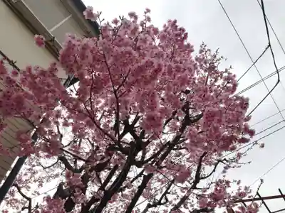 居木神社の周辺