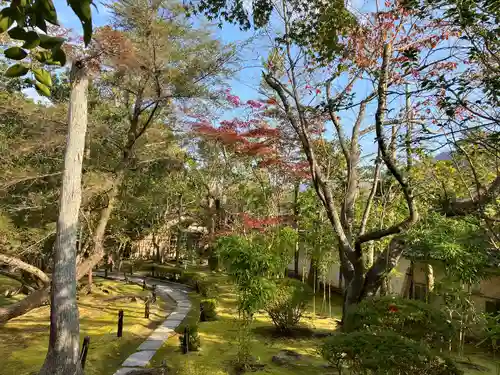 金地院の庭園