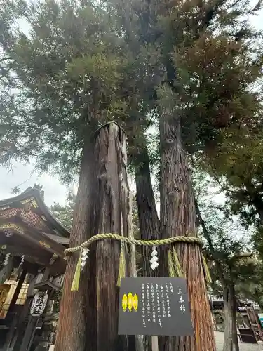 建部大社の{uncategorized: "未分類", other: "その他", undefined: "問題あり", building: "その他建物", grave: "お墓", sacred_gate: "鳥居", guardian: "狛犬", statue: "像", buddha: "仏像", history: "歴史", nature: "自然", garden: "庭園", animal: "動物", pagoda: "塔", temizu: "手水舎", mountain_gate: "山門・神門", sanctuary: "本殿・本堂", subordinate: "末社・摂社", art: "芸術", scenery: "景色", jizo: "地蔵", ema: "絵馬", goshuin: "御朱印", omikuji: "おみくじ", items: "授与品その他", amulet: "お守り", goshuincho: "御朱印帳", eats: "食事", festival: "お祭り", votive_dance: "神楽", shichigosan: "七五三参", wedding: "結婚式", experience: "体験その他", initially: "初詣", around: "周辺", anti_infection: "感染症対策"}
