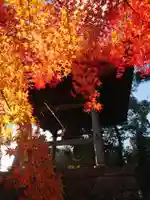 本宗寺のその他建物