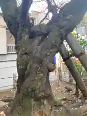 柿の木坂北野神社(東京都)