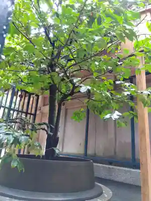 清荒神清澄寺(兵庫県)