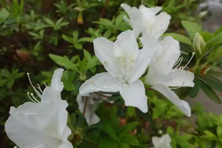三篠神社(広島県)