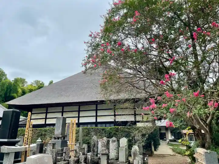 茂林寺の本殿・本堂