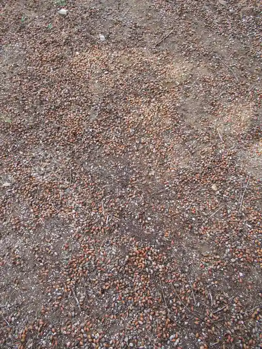 香取神社(千葉県)