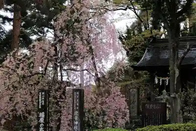 豊景神社の末社・摂社