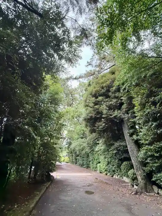 寒川神社の{uncategorized: "未分類", other: "その他", undefined: "問題あり", building: "その他建物", grave: "お墓", sacred_gate: "鳥居", guardian: "狛犬", statue: "像", buddha: "仏像", history: "歴史", nature: "自然", garden: "庭園", animal: "動物", pagoda: "塔", temizu: "手水舎", mountain_gate: "山門・神門", sanctuary: "本殿・本堂", subordinate: "末社・摂社", art: "芸術", scenery: "景色", jizo: "地蔵", ema: "絵馬", goshuin: "御朱印", omikuji: "おみくじ", items: "授与品その他", amulet: "お守り", goshuincho: "御朱印帳", eats: "食事", festival: "お祭り", votive_dance: "神楽", shichigosan: "七五三参", wedding: "結婚式", experience: "体験その他", initially: "初詣", around: "周辺", anti_infection: "感染症対策"}