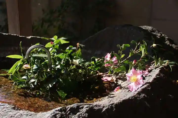 愛宕神社の手水舎