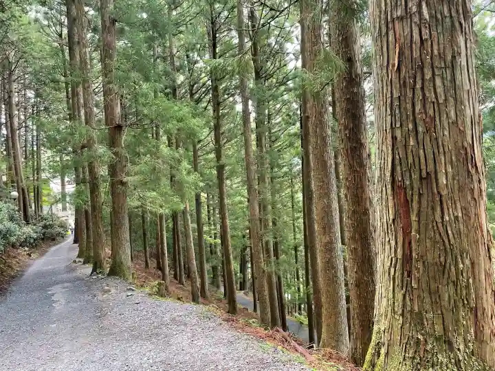 三峯神社の{uncategorized: "未分類", other: "その他", undefined: "問題あり", building: "その他建物", grave: "お墓", sacred_gate: "鳥居", guardian: "狛犬", statue: "像", buddha: "仏像", history: "歴史", nature: "自然", garden: "庭園", animal: "動物", pagoda: "塔", temizu: "手水舎", mountain_gate: "山門・神門", sanctuary: "本殿・本堂", subordinate: "末社・摂社", art: "芸術", scenery: "景色", jizo: "地蔵", ema: "絵馬", goshuin: "御朱印", omikuji: "おみくじ", items: "授与品その他", amulet: "お守り", goshuincho: "御朱印帳", eats: "食事", festival: "お祭り", votive_dance: "神楽", shichigosan: "七五三参", wedding: "結婚式", experience: "体験その他", initially: "初詣", around: "周辺", anti_infection: "感染症対策"}