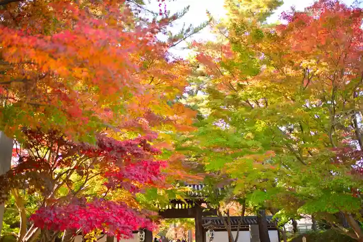 東漸寺(千葉県)