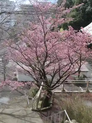 身代り不動尊(大明王院)の周辺