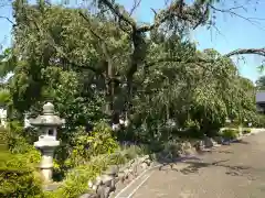 吉祥院の建物その他