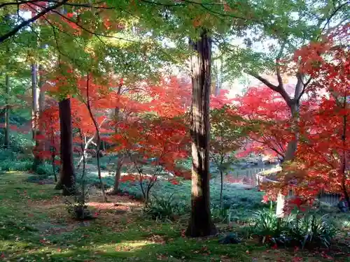 本土寺(千葉県)