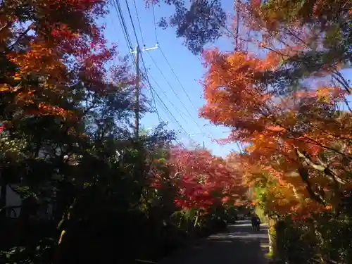 海蔵寺の庭園