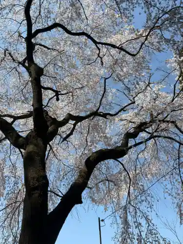 春日神社の{uncategorized: "未分類", other: "その他", undefined: "問題あり", building: "その他建物", grave: "お墓", sacred_gate: "鳥居", guardian: "狛犬", statue: "像", buddha: "仏像", history: "歴史", nature: "自然", garden: "庭園", animal: "動物", pagoda: "塔", temizu: "手水舎", mountain_gate: "山門・神門", sanctuary: "本殿・本堂", subordinate: "末社・摂社", art: "芸術", scenery: "景色", jizo: "地蔵", ema: "絵馬", goshuin: "御朱印", omikuji: "おみくじ", items: "授与品その他", amulet: "お守り", goshuincho: "御朱印帳", eats: "食事", festival: "お祭り", votive_dance: "神楽", shichigosan: "七五三参", wedding: "結婚式", experience: "体験その他", initially: "初詣", around: "周辺", anti_infection: "感染症対策"}