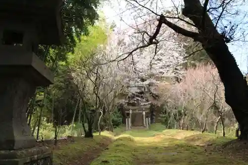 見渡神社の自然