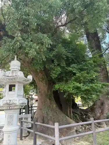 春日神社(福岡県)