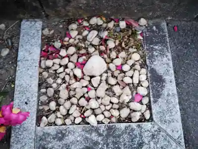 熊野神社の自然