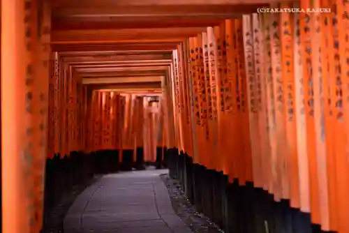 伏見稲荷大社 奥社奉拝所の鳥居