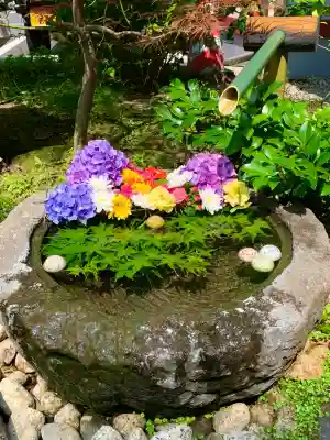 仙台大神宮の手水舎