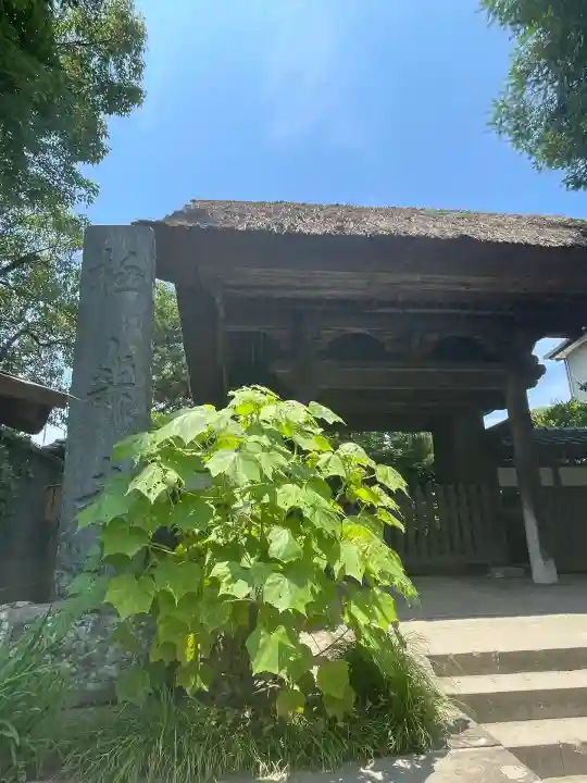 極楽寺(霊鷲山感應院極楽律寺)(神奈川県)