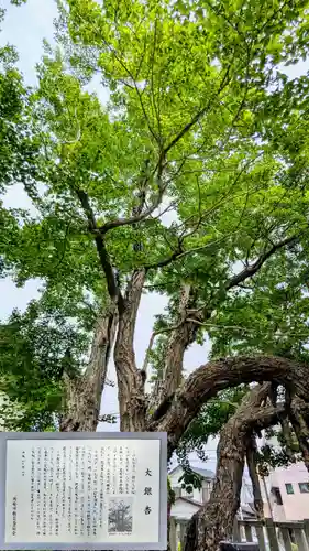 豊受神社の自然