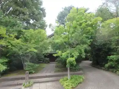 祥雲寺(東京都)