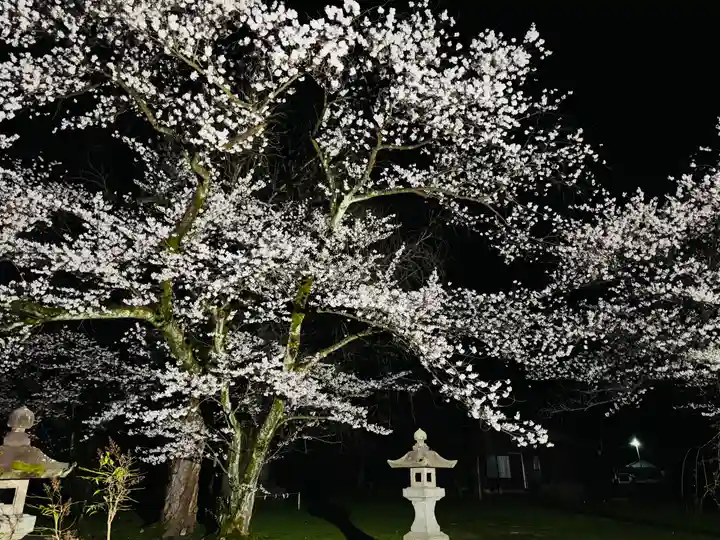 守りの神 藤基神社の庭園