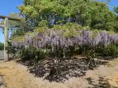 鎌数伊勢大神宮(千葉県)