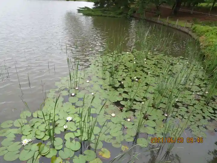 三光稲荷神社の自然