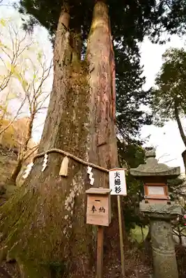 談山神社(奈良県)