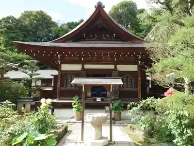 岡寺(龍蓋寺)(奈良県)