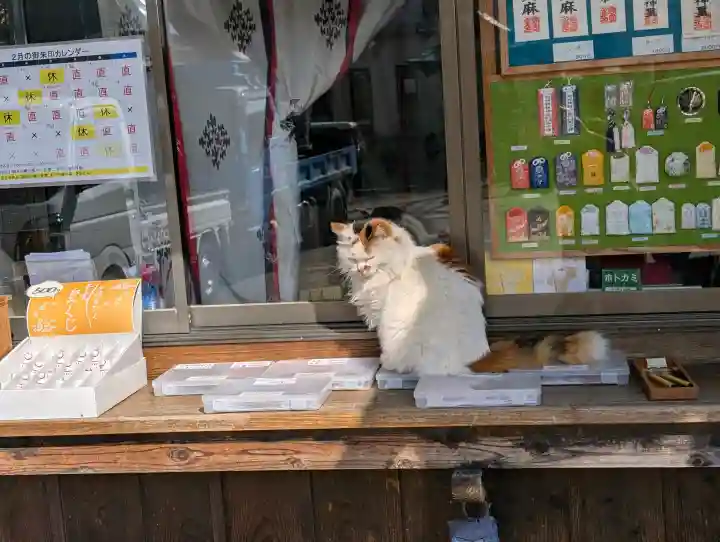 阿邪訶根神社の{uncategorized: "未分類", other: "その他", undefined: "問題あり", building: "その他建物", grave: "お墓", sacred_gate: "鳥居", guardian: "狛犬", statue: "像", buddha: "仏像", history: "歴史", nature: "自然", garden: "庭園", animal: "動物", pagoda: "塔", temizu: "手水舎", mountain_gate: "山門・神門", sanctuary: "本殿・本堂", subordinate: "末社・摂社", art: "芸術", scenery: "景色", jizo: "地蔵", ema: "絵馬", goshuin: "御朱印", omikuji: "おみくじ", items: "授与品その他", amulet: "お守り", goshuincho: "御朱印帳", eats: "食事", festival: "お祭り", votive_dance: "神楽", shichigosan: "七五三参", wedding: "結婚式", experience: "体験その他", initially: "初詣", around: "周辺", anti_infection: "感染症対策"}