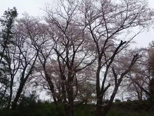 天台宗　長窪山　正覚寺の自然
