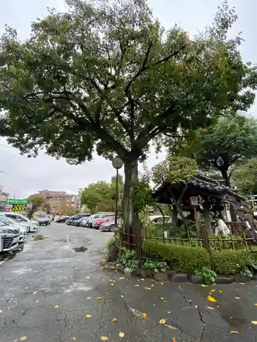 白山神社(東京都)