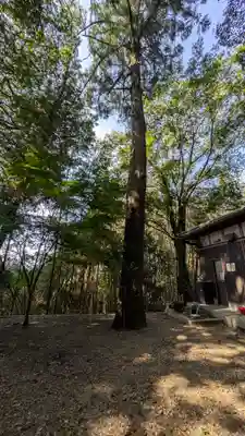 （市辺）天満神社(京都府)
